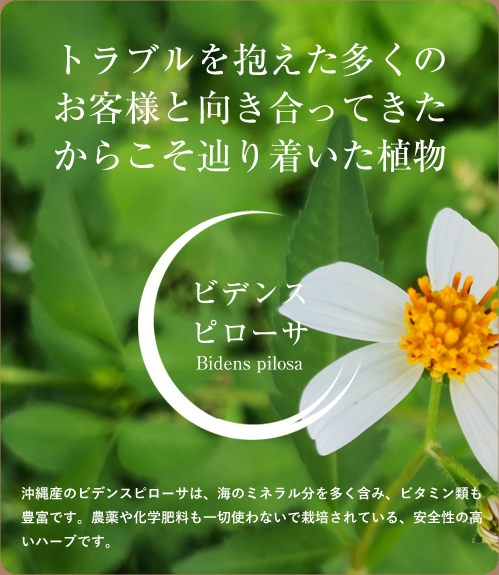 ビデンスピローサ